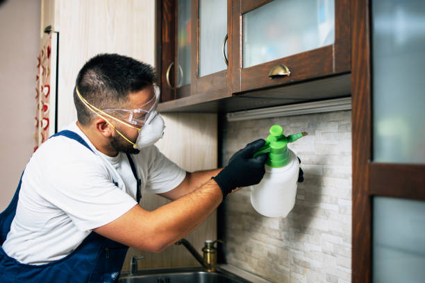 Pest Control for Restaurants in North Ballston Spa, NY