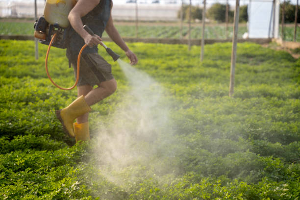Best Affordable Pest Control Services  in North Ballston Spa, NY