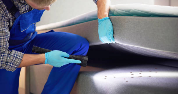 Best Affordable Pest Control Services  in North Ballston Spa, NY