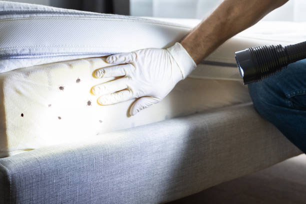 North Ballston Spa, NY Pest Control Company