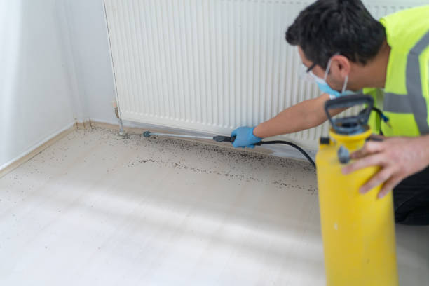 Best Flea Control Services  in North Ballston Spa, NY